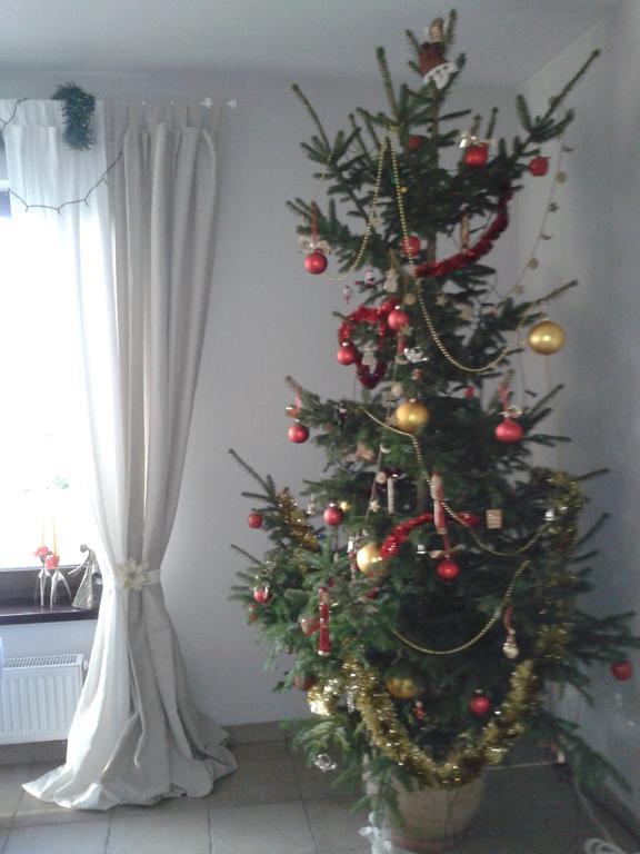 Dom Przy Kociej Gorze Villa Krzczen ภายนอก รูปภาพ